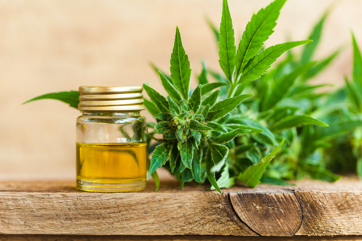 Cultiver du CBD : est-ce légal en France ?