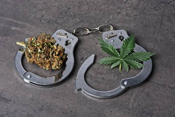 Les meilleures méthodes de prouver le CBD à la police