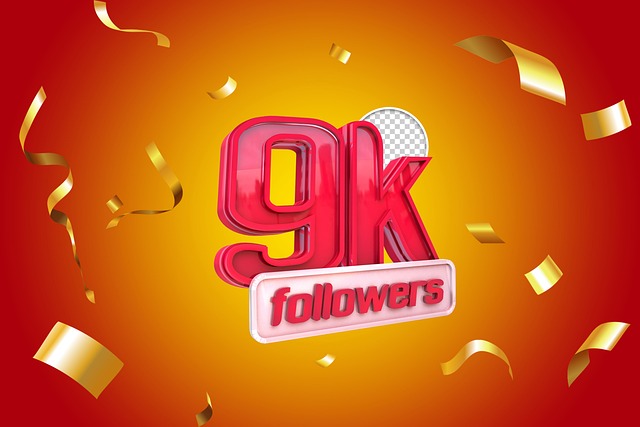 L'achat de followers sur Instagram et le droit de la consommation : enjeux et perspectives