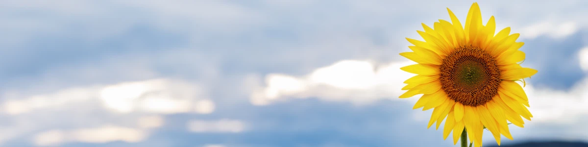 Le droit à l'image : Principe, protection et implications